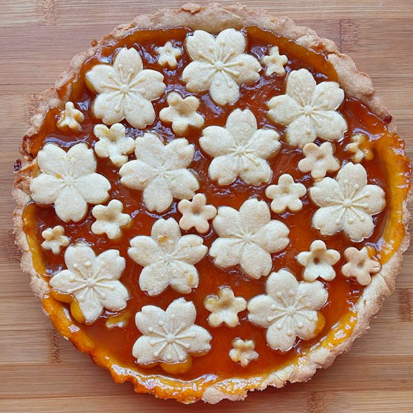 Crostata with apricot jam - Barbara-Pollastrini