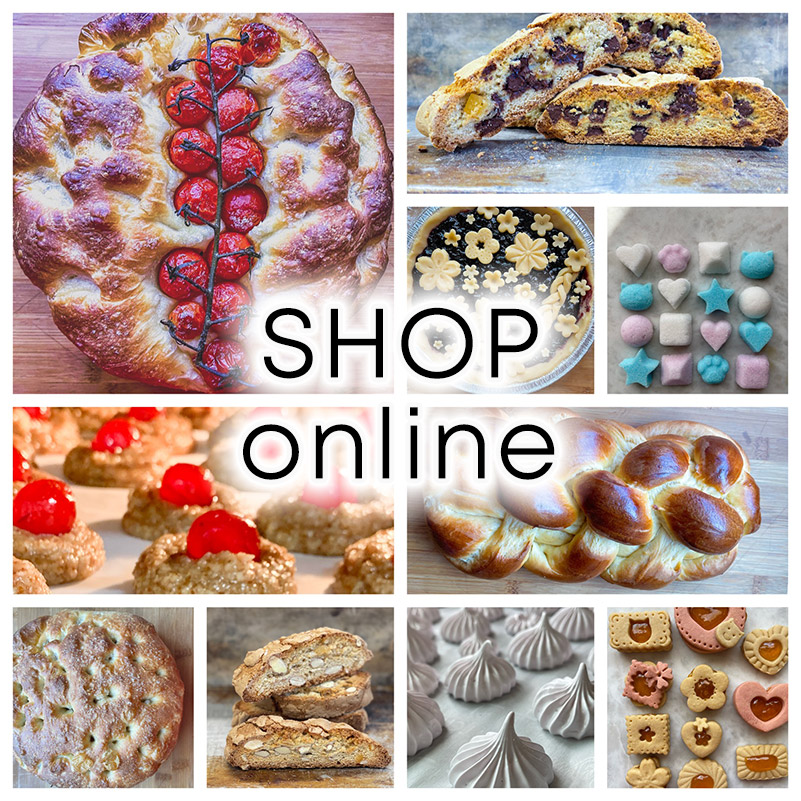 Barbara Pollastrini Shop Online